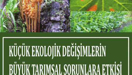 Tartışmalı Gıdalar: Güncel Gelişmeler ve Gerçekler