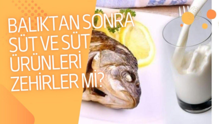 Balık ve Süt Ürünleri: Yanlış Bilgiler ve Gerçekler