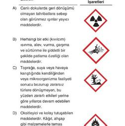 Günlük Maddelerin Tehlikeleri: Hangileri Zarar Verebilir?