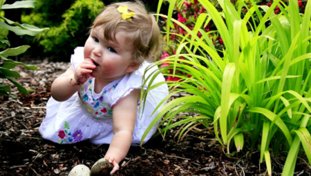 Toprak Yeme: Nedenleri ve Zararları