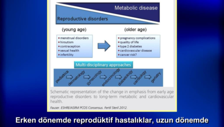Sağlık Riskleri: Popüler Ürünleri İnceliyoruz