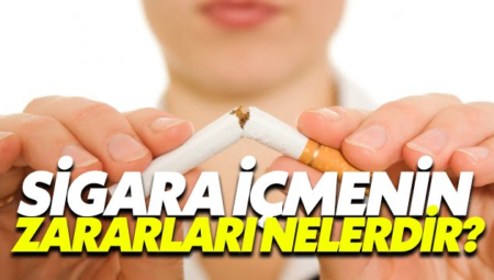 Sigara İçmenin Riskleri: Güvenli Bir Seviyesi Yok